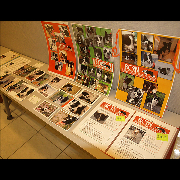 ��5��A�j�}���`�����e�B�R���T�[�g in �߂���p�[�V�����z�[���j