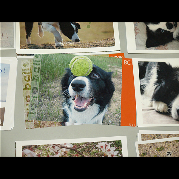 ��5��A�j�}���`�����e�B�R���T�[�g in �߂���p�[�V�����z�[���j