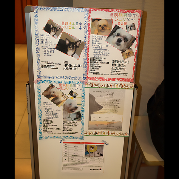 ��5��A�j�}���`�����e�B�R���T�[�g in �߂���p�[�V�����z�[���j