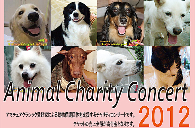 �A�j�}���`�����e�B�R���T�[�g2012