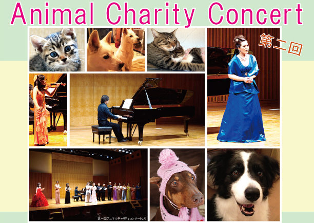 ����2��A�j�}���`�����e�B�R���T�[�g 2013�N3��30���i�y�j �R���T�[�g�̖͗l��NPO�@�l�A�j�}���`�����e�B�W���p��