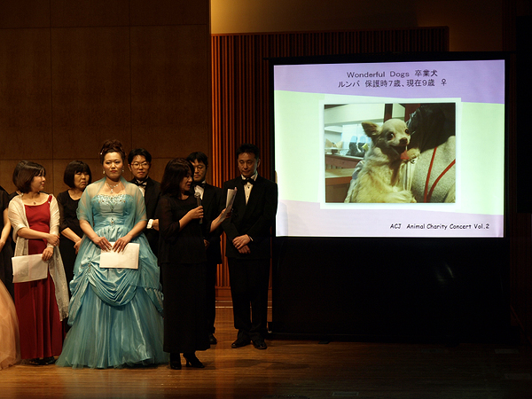 �A�j�}���`�����e�B�R���T�[�g in �߂���p�[�V�����z�[���@2013�N3��30���i�y�j