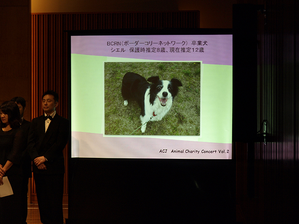 �A�j�}���`�����e�B�R���T�[�g in �߂���p�[�V�����z�[���@2013�N3��30���i�y�j