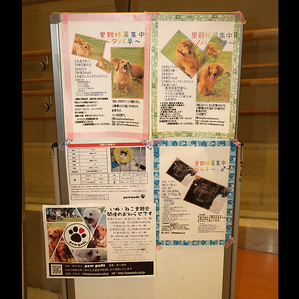 ��5��A�j�}���`�����e�B�R���T�[�g in �߂���p�[�V�����z�[���j