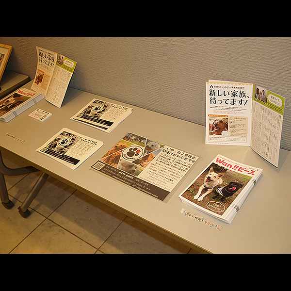 ��5��A�j�}���`�����e�B�R���T�[�g in �߂���p�[�V�����z�[���j